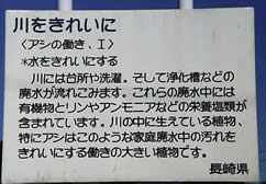 川に掲示してある看板