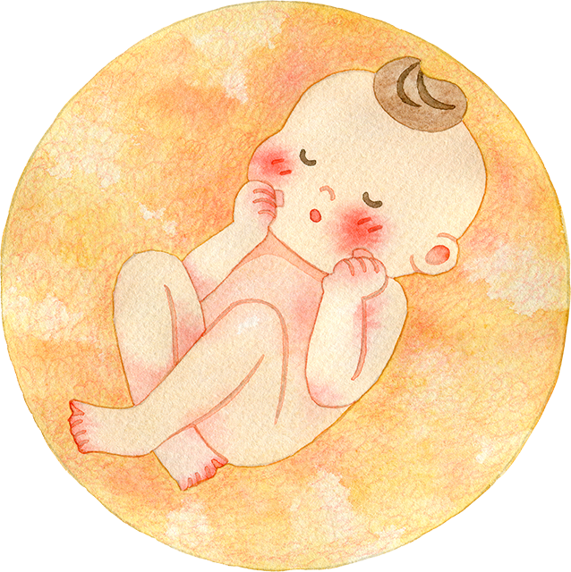 胎児
