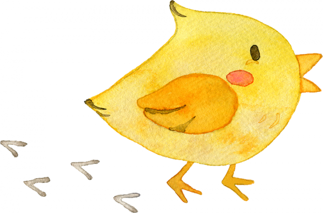ひよこ