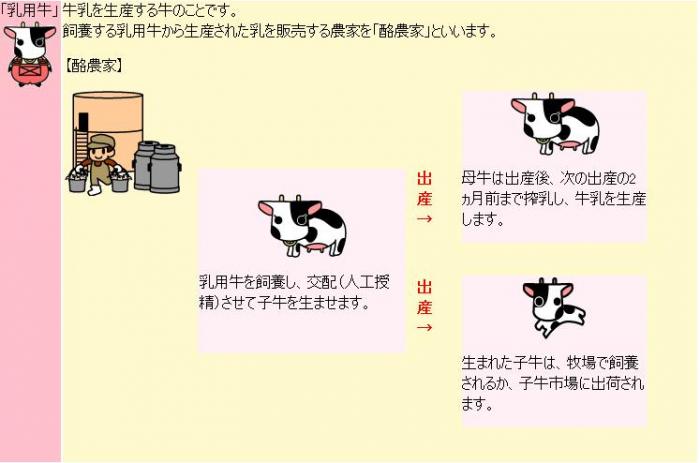 乳用牛のフロー図