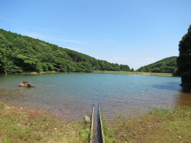 ため池の写真2枚目