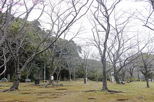 中央公園の様子1