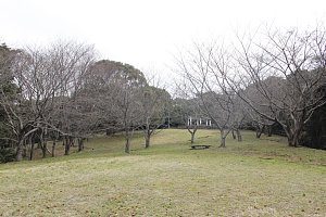 干尽公園の様子1