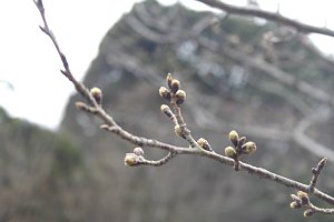 牧の岳公園の様子2