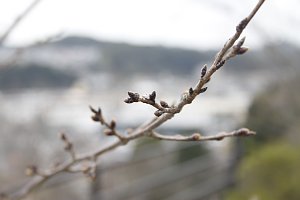 尾崎公園の様子2