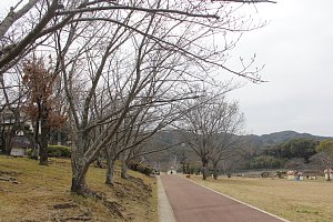 天神公園の様子1