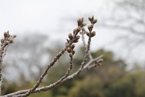 天神公園の様子2