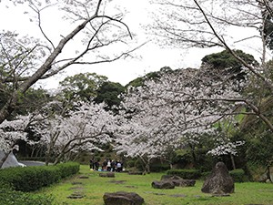 20200330大悲観公園