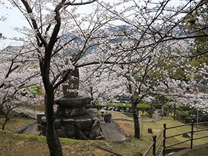 20200330東公園