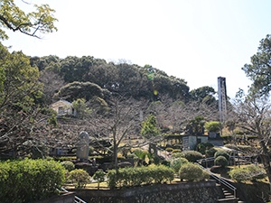 20200323東公園桜1