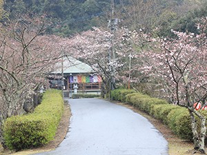 令和2年3月26日牧の岳公園