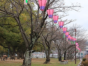 令和2年3月26日佐世保公園桜