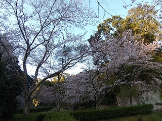 20220404大悲観公園遠近景