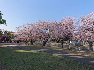 20220404佐世保公園遠景