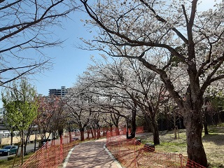 20220404中央公園遠景