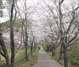 20220328花の森公園遠景