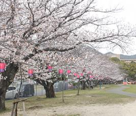 20220328佐世保公園遠景