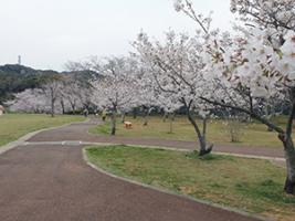 20220328天神公園遠景