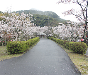 20220331牧の岳公園近景