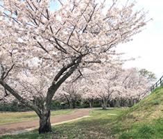 20220331天神公園遠景