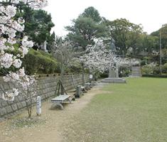 20220331東公園遠景