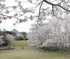 20220331干尽公園遠景