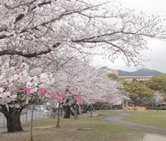 20220331佐世保公園近景