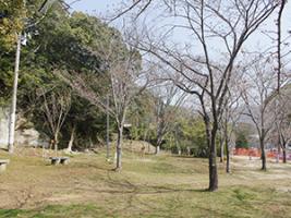 20220324中央公園遠景