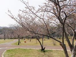 20220324天神公園遠景