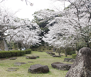 20220328大悲観公園遠景