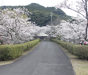 20220328牧の岳公園遠景