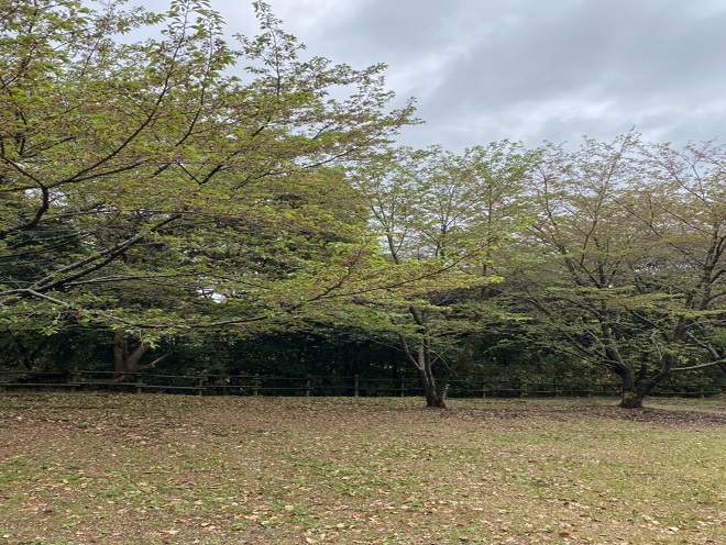 20220411干尽公園遠景