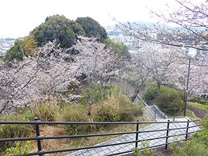 0407尾崎遠景