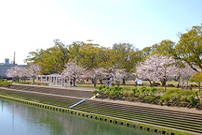 20210325佐世保公園桜