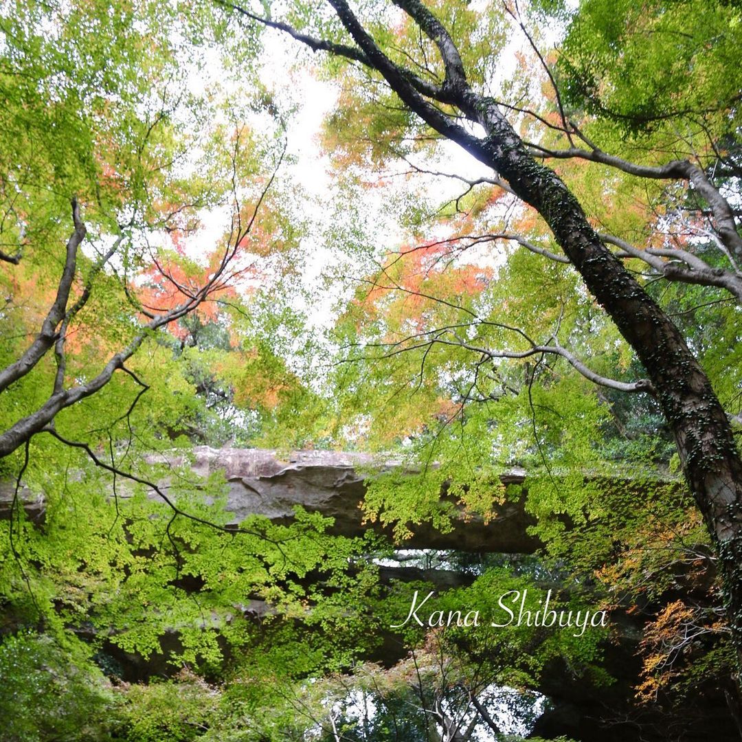 御橋観音寺（kanashibuya様）