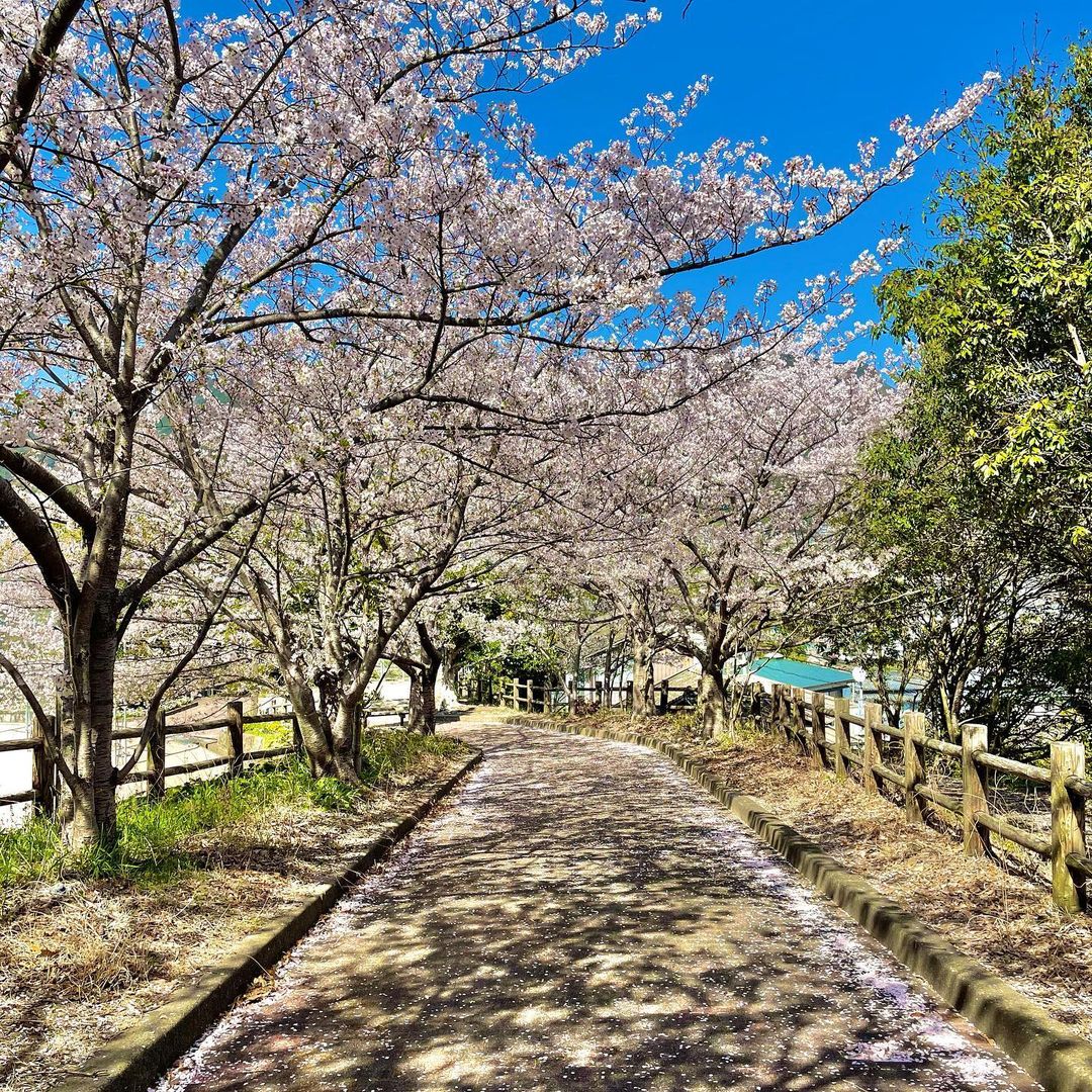 東公園