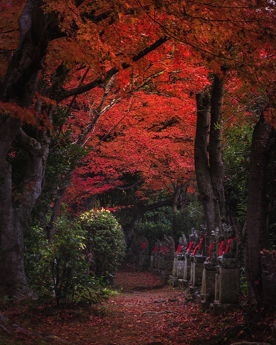 浄漸寺（kay.nagata_photojunky様）