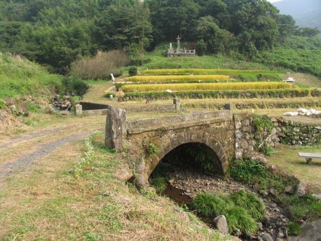 桐の木橋