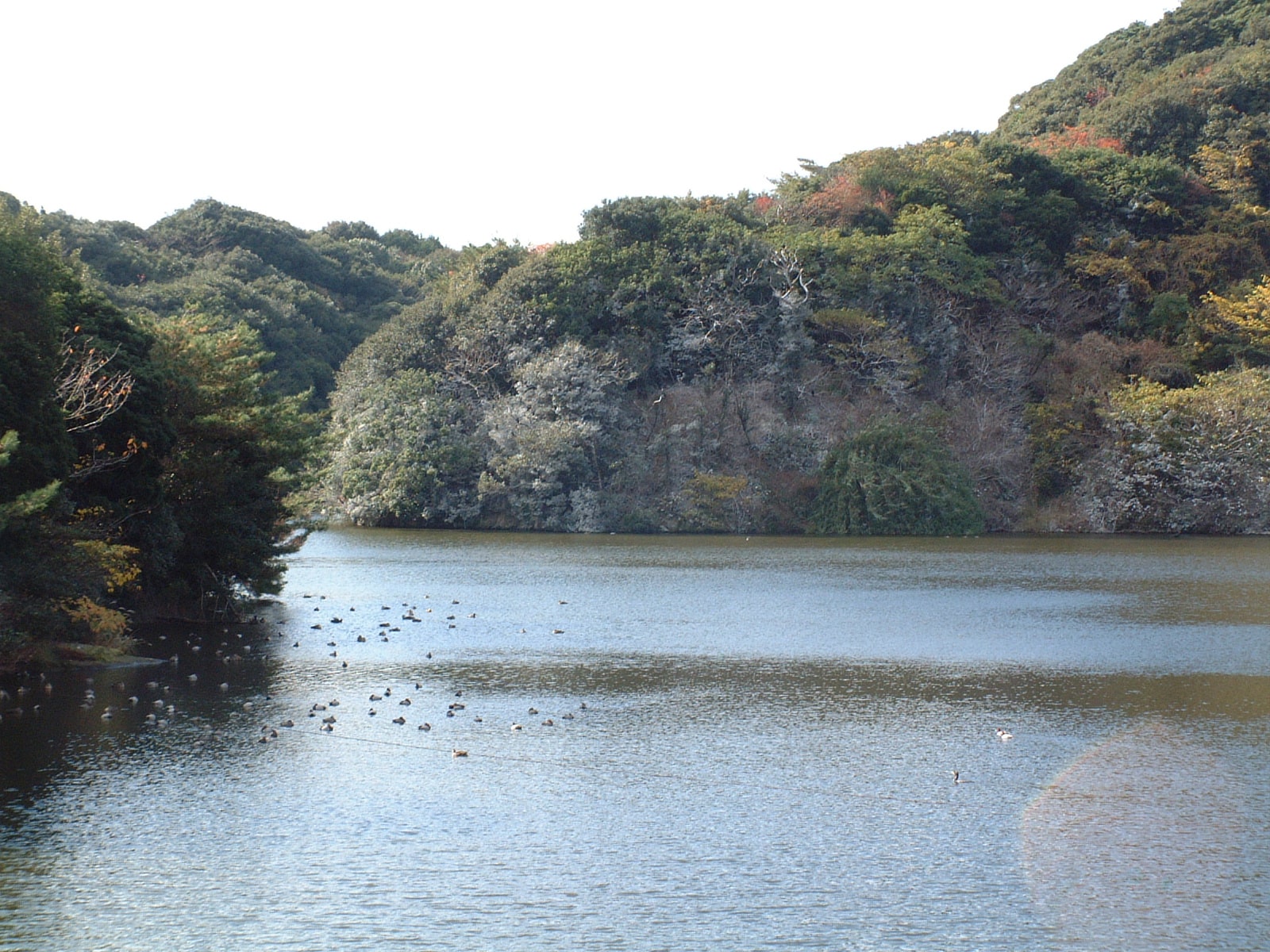 江楯池の写真