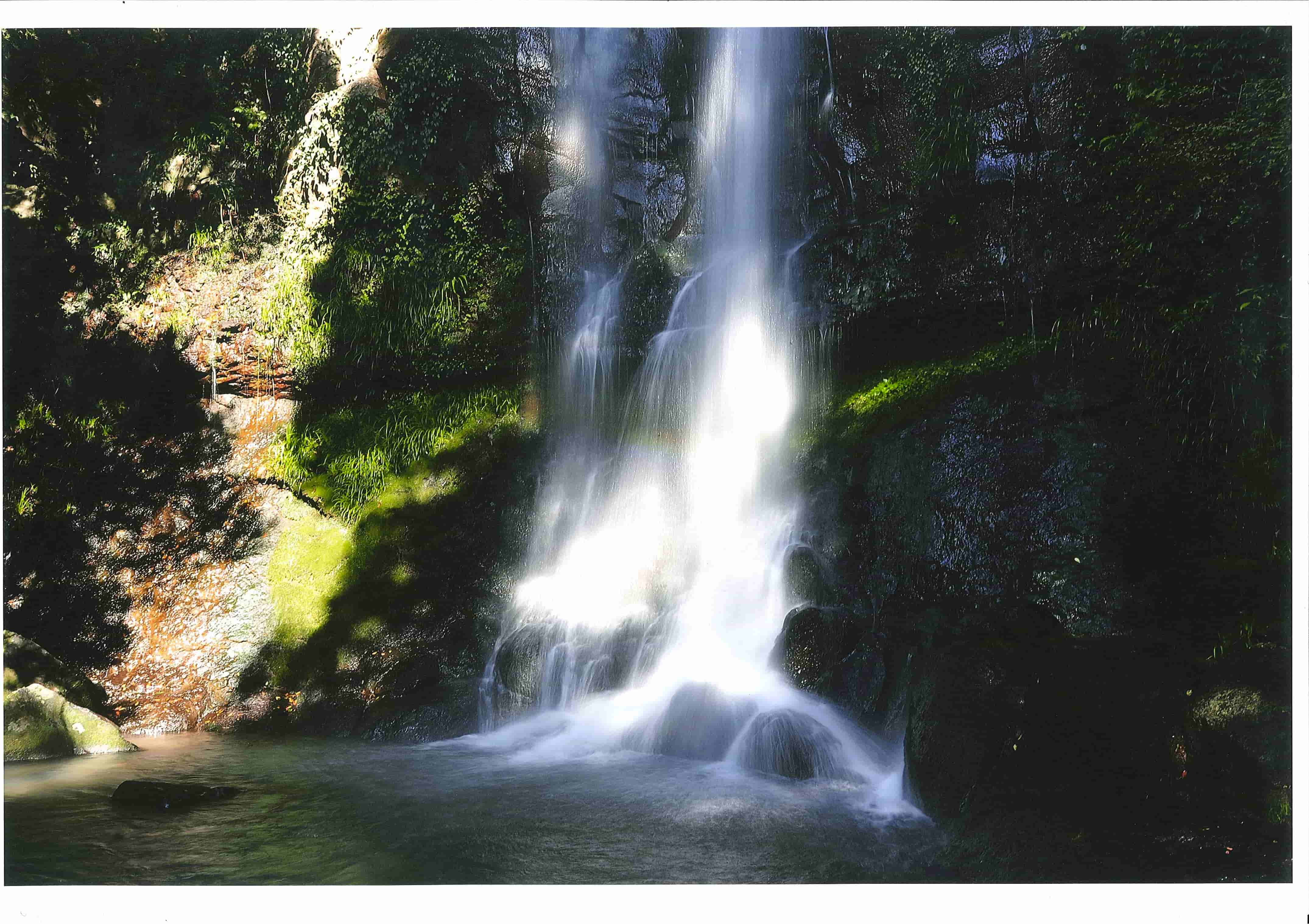 潜竜ヶ滝の写真