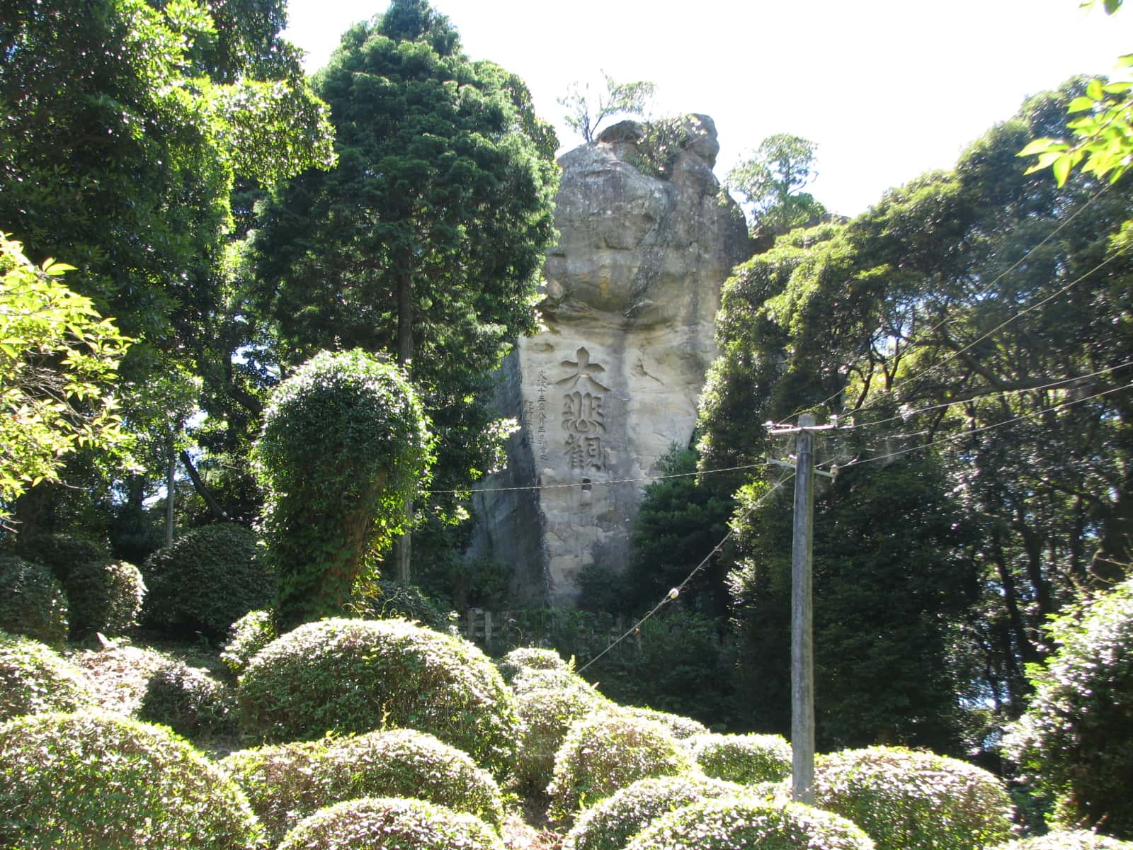 大悲観公園の写真