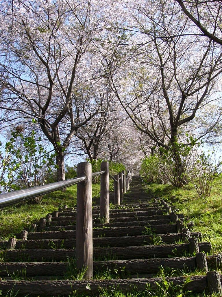 かじか健康公園の写真