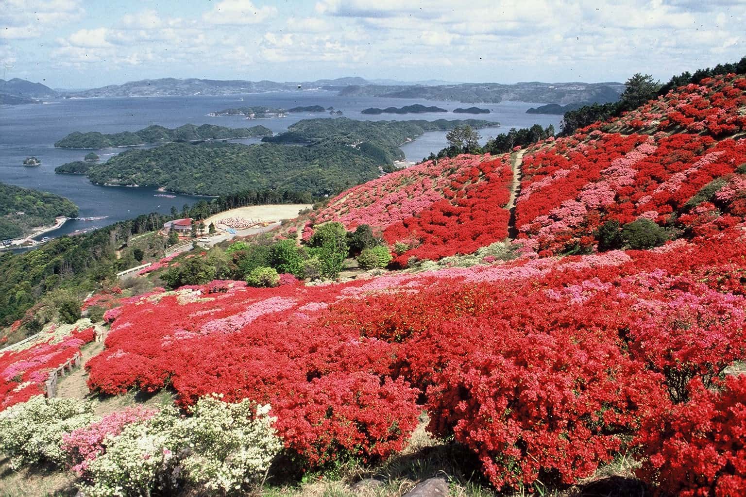 長串山公園の写真