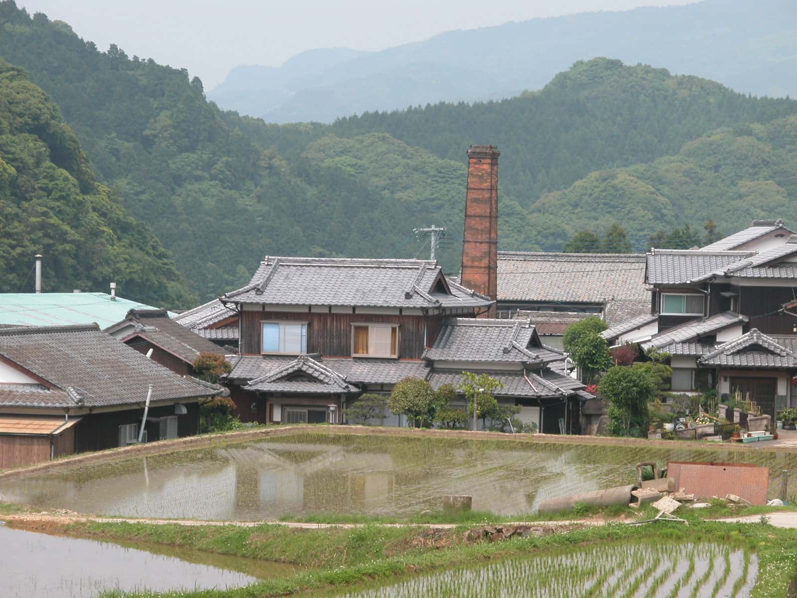 木原皿山の写真