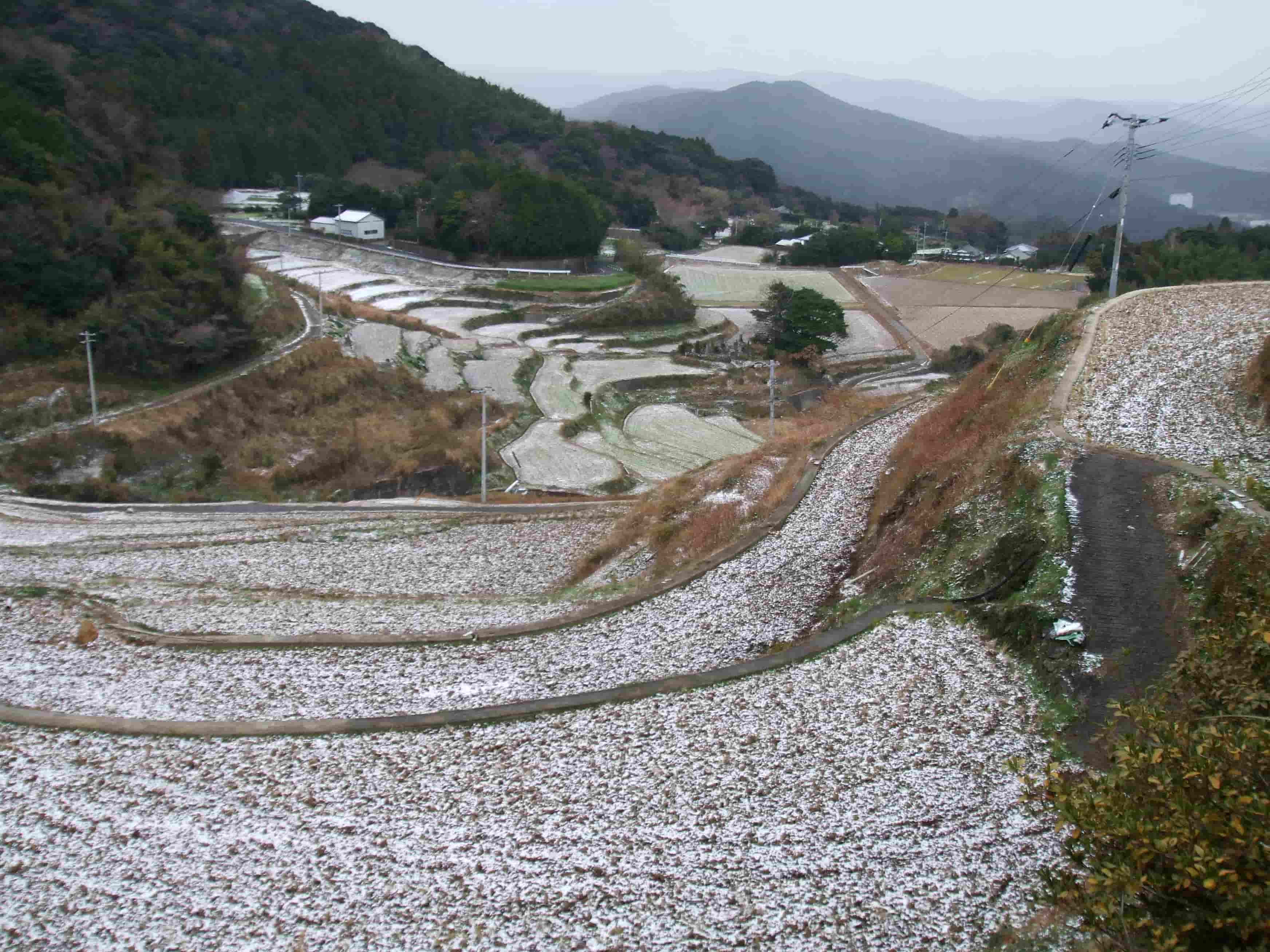 小川内地区の棚田の写真